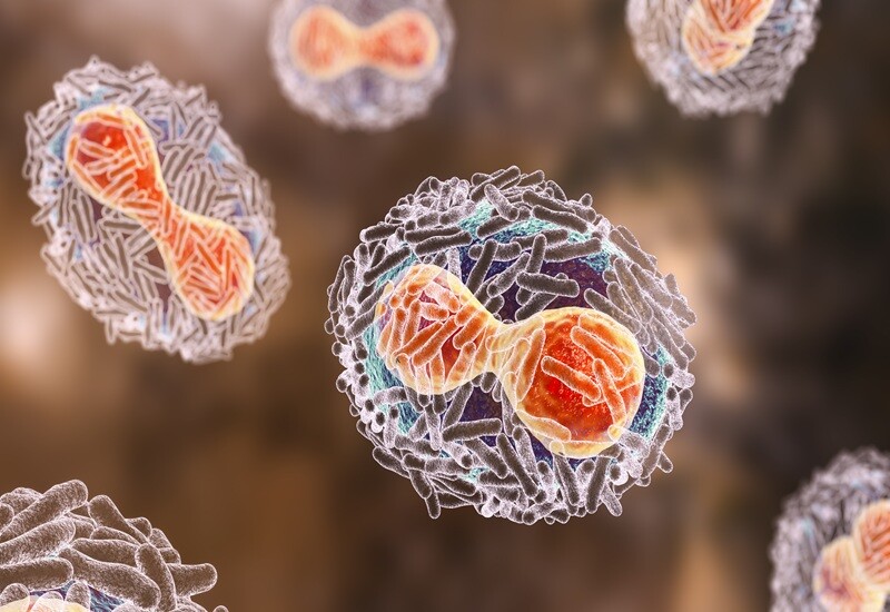 Growth Opportunities and Advanced Therapeutics for Infectious Disease Management 